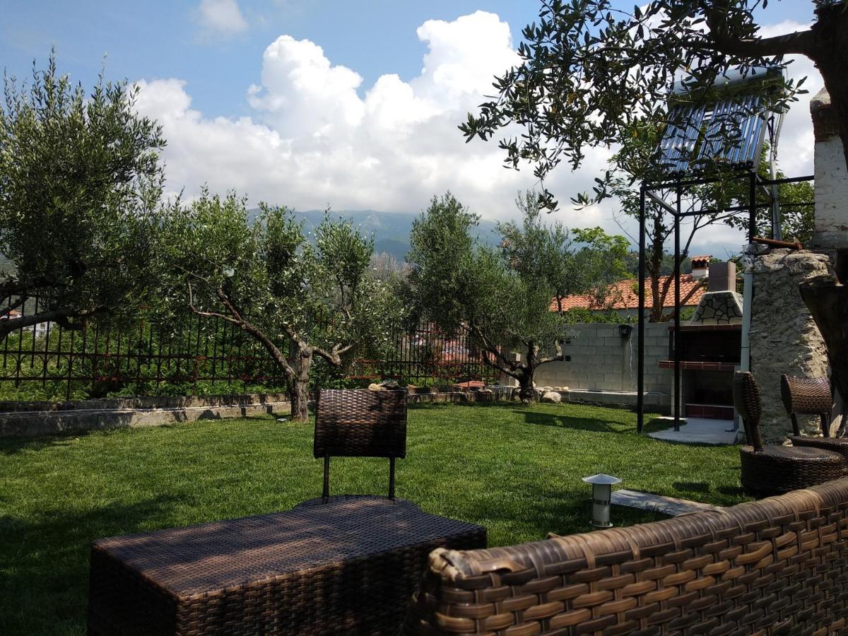Villa Agnanti Apts And Suites Agio Pnevma Zewnętrze zdjęcie