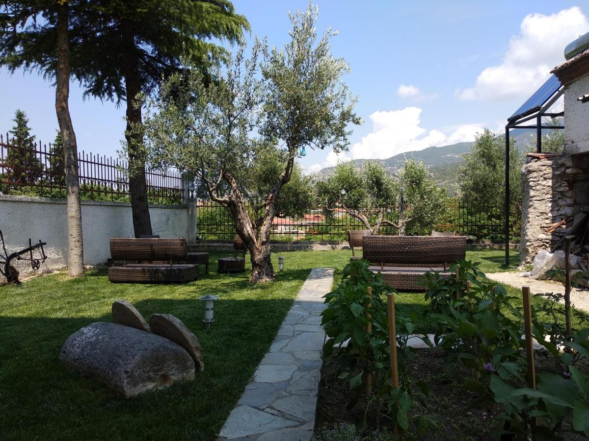 Villa Agnanti Apts And Suites Agio Pnevma Zewnętrze zdjęcie